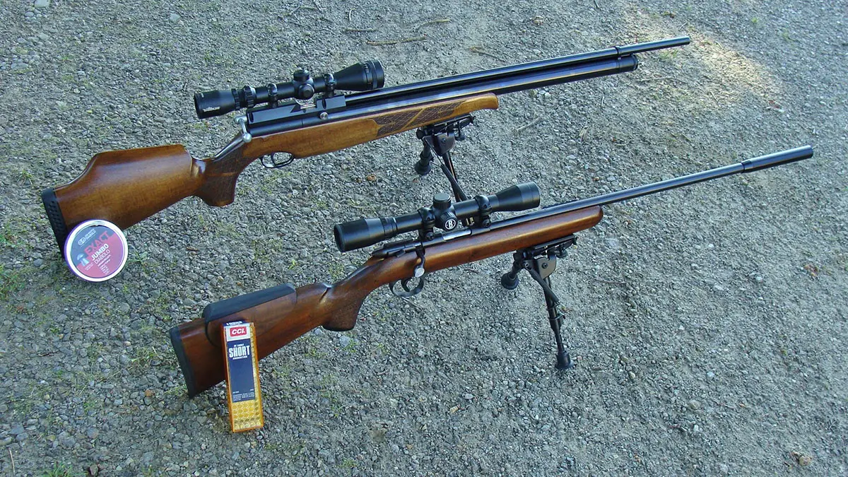 .22 Rifle (Shorts) vs .22 Airgun (High Power)